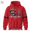 Florida Panthers NHL Champions Stanley Cup Hoodie T Shirt